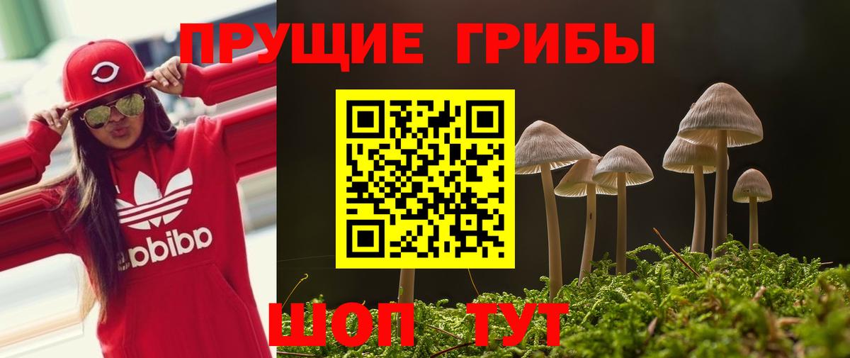 Дзержинский  Галлюциногенные грибы прущие грибы  Псилоцибиновые грибы GOLDEN TEACHER  Вход с VPN 